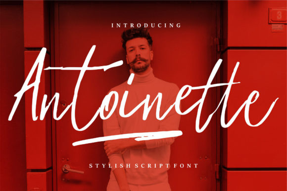 Antoinette: Crafting Romance in Every Letterform