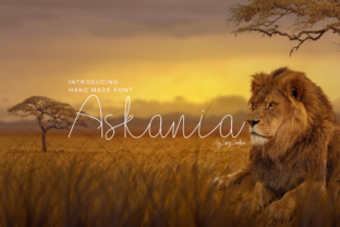 Askania: Infusing Charm into Every Design Project