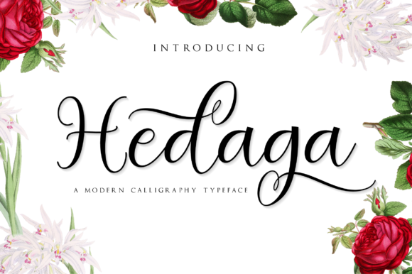 Discover Hedaga: The Romantic Script for Modern Creators
