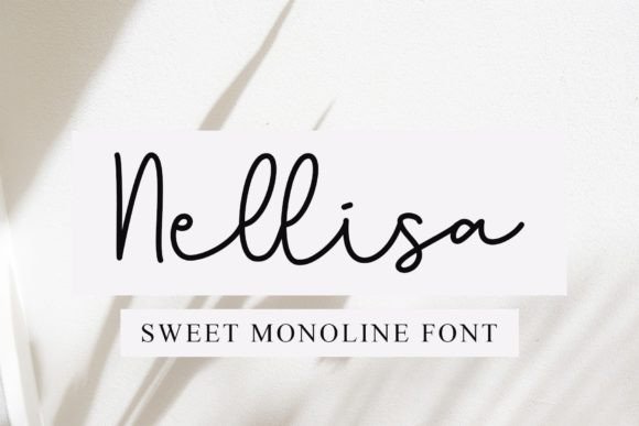 Nellisa: The Sweet Monoline Script for Modern Designers