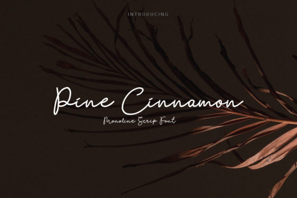 Pine Cinnamon: The Organic Script Font for Authentic Branding